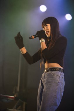 Traena, Norveç - 12 Temmuz 2014: Danimarkalı elektro-rap şarkıcısı Linkoban'ın Traenafestival'deki konseri sırasında, traena adasında müzik festivali gerçekleşiyor