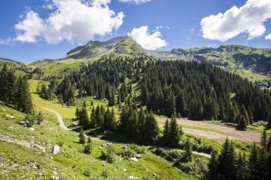 Bukolik yeşil yaz alp manzara, İsviçre Alpleri dağ masifi, kton du Valais, İsviçre