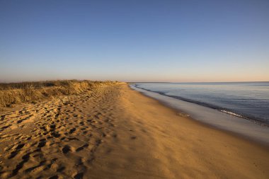 altın kum ile gün batımında bir plajda görünümü sessiz bir deniz