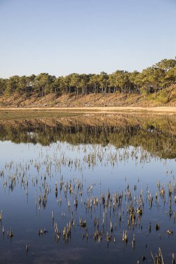 deniz şubat 2010'da fırtına Xynthia sonra dike üzerinden gitti sonra doğa rezerv Casse de la Belle Henriette de lagün alacakaranlık