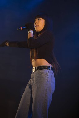 Traena, Norveç - 12 Temmuz 2014: Danimarkalı elektro-rap şarkıcısı Linkoban'ın Traenafestival'deki konseri sırasında, traena adasında müzik festivali gerçekleşiyor