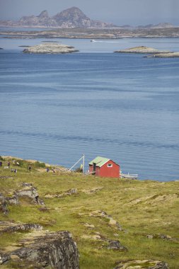 Norveç manzara ith fiyort, dağ ve deniz Traenafestival sırasında alınan, müzik festivali Traena küçük adada yer alan