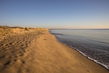 altın kum ile gün batımında bir plajda görünümü sessiz bir deniz