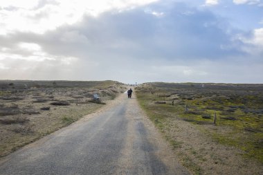 Kumsala giden kumulların arasındaki patikada insanlar geziniyor, Vendee, Fransa