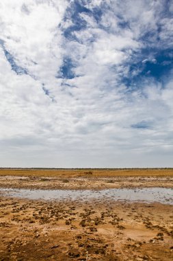 Doğal manzara parkı Djouj Senegal, Afrika