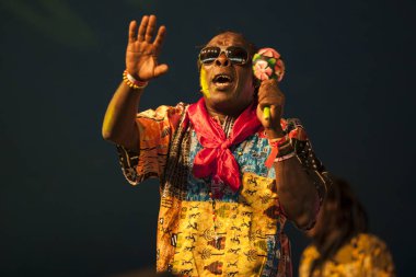 Amsterdam, Hollanda - 5 Temmuz 2015: Amsterdam Roots Open Air'de Kongolu grup Kasai Allstars'ın konseri, Park Frankendael'de 05/07/2015 tarihinde düzenlenen kültür festivali