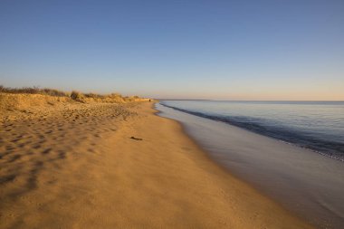 altın kum ile gün batımında bir plajda görünümü sessiz bir deniz