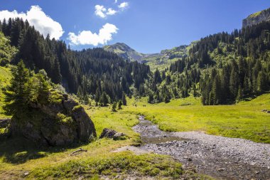 Bukolik yeşil yaz alp manzara, İsviçre Alpleri dağ masifi, kton du Valais, İsviçre