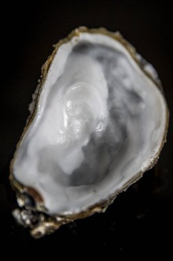 Siyah arka planda boş istiridye