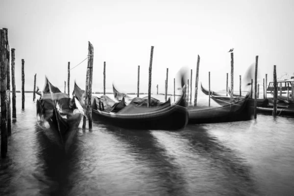 Black and white moving gondolas in front of San Marco square, Venice Italy