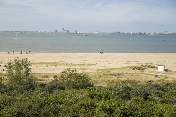 海辺の景色 ブレスケンズ オランダ — ストック写真