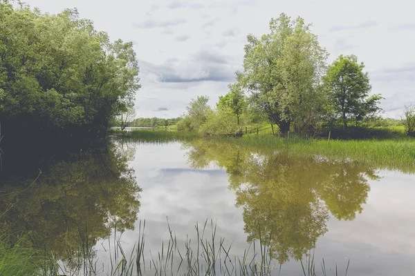 Idylliska Naturlandskap Med Sjö Grön Vegetation Och Himmel Med Molnreflekterande — Stockfoto