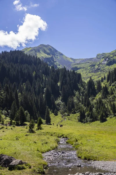 Paisaje Alpino Verano Verde Bucólico Macizo Montañoso Los Alpes Suizos — Foto de Stock