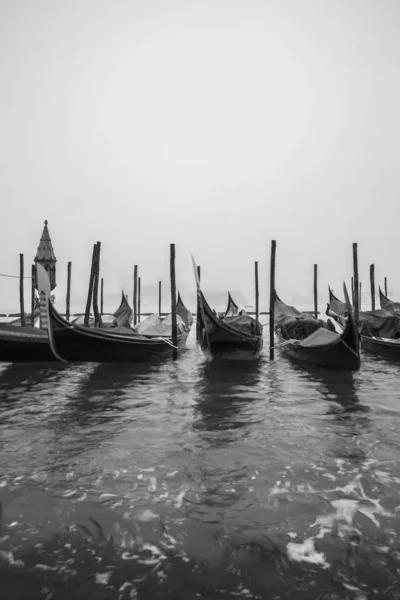 Gôndolas Movimento Preto Branco Frente Praça San Marco Veneza Itália — Fotografia de Stock