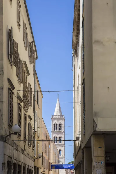 Calle Con Fondo Campanario Iglesia San Donato Zadar Croacia —  Fotos de Stock