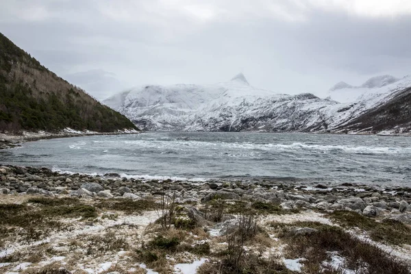 Näkymä Vuonoon Talvituulessa Elvfjorden Nordland Norja — kuvapankkivalokuva