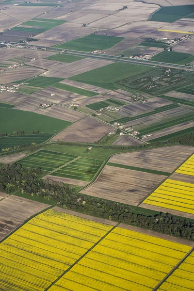 Aerial View Green Yellow Colza Fields Some Farm Houses Canals — Stock Photo, Image