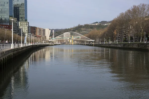 Bilbao Spain January 2016 Nervion River Modern Bridge Zubizuri Designed — Stock Photo, Image