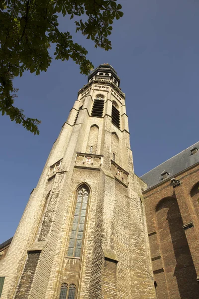 Abbey Kompleks Med Sit Tårn Lange Jan Middelburg Zeeland Holland - Stock-foto