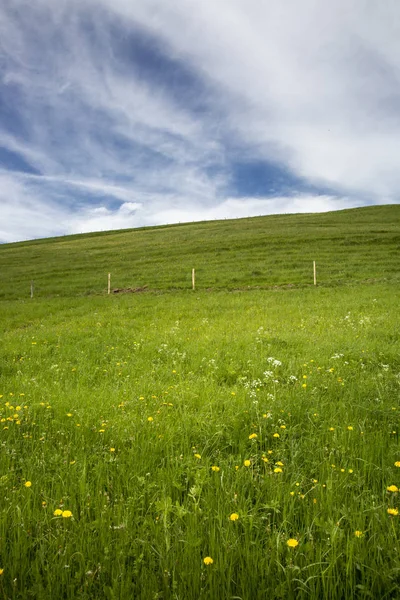 Landskap Jura Berg Med Blommande Grön Äng Schweitz — Stockfoto