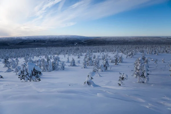 Winter Finnische Schneelandschaft — Stockfoto