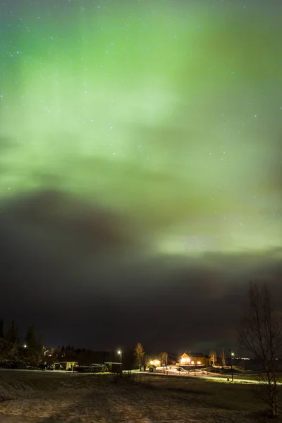 绿色北极光 挪威诺德兰 — 图库照片