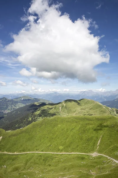 Paysage Alpin Verdoyant Bucolique Été Massif Alpin Suisse Canton Valais — Photo