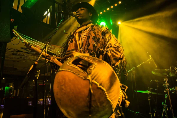 Amsterdam Países Bajos Febrero 2016 Concierto Banda Africana Mali Bko — Foto de Stock