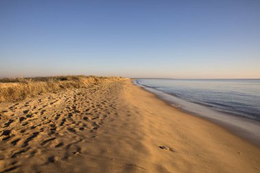 altın kum ile gün batımında bir plajda görünümü sessiz bir deniz