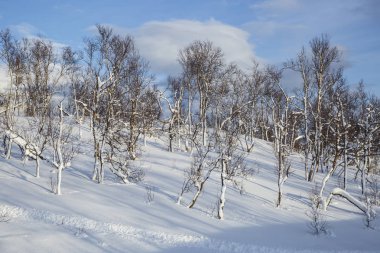 Karlı Norveç dağ manzarası, Nordland, Norveç