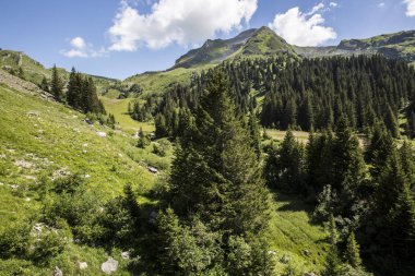 Bukolik yeşil yaz alp manzara, İsviçre Alpleri dağ masifi, kton du Valais, İsviçre