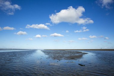 Deniz manzarası bulutların alçak gelgit sularındaki yansıması, Waddenzee, Friesland, Hollanda