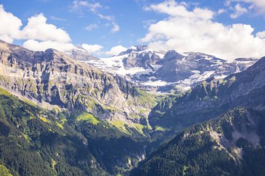 Bukolik yeşil yaz alp manzara, İsviçre Alpleri dağ masifi, kton du Valais, İsviçre