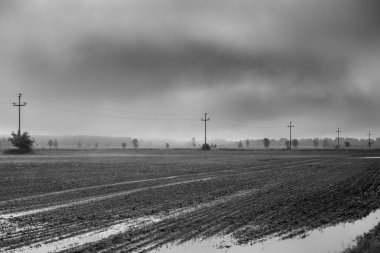 Hırvatistan 'ın Lonjsko Polje doğal parkında eski elektrik direği ve kablolarından oluşan bir siluet üzerine sis çöktü