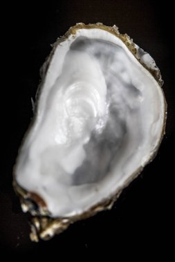 Siyah arka planda boş istiridye