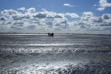 Düşük tide su ve bir grup insan Waddenzee, Friesland, Hollanda trekking, bulutlarda yansıması ile deniz manzara