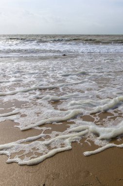 Fransa 'nın batı kıyısındaki sahil, Vendee, l' Aiguillon sur Mer
