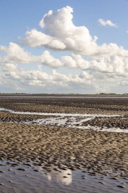 Deniz manzarası bulutların alçak gelgit sularındaki yansıması, Waddenzee, Friesland, Hollanda
