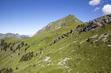 Bukolik yeşil yaz alp manzara, İsviçre Alpleri dağ masifi, kton du Valais, İsviçre