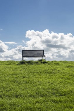 Yeşil çimenli, mavi gökyüzü ve beyaz bulutlu bir lezbiyenin tepesindeki izole bankta.