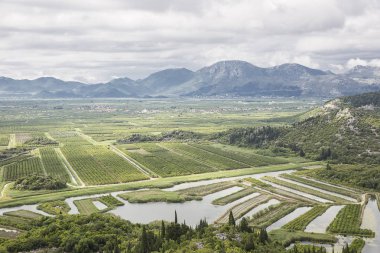 Hırvatistan'da Neretva nehir deltasında yeşil alanlar, tarım alanı üzerinde görünüm