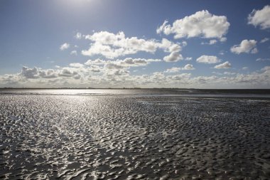 Deniz manzarası bulutların alçak gelgit sularındaki yansıması, Waddenzee, Friesland, Hollanda