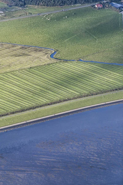 Aerial Coastal View Shore Ameland Frisian Island Green Fields Dike — Stock Photo, Image