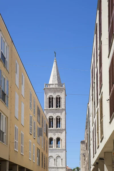 Calle Con Fondo Campanario Iglesia San Donato Zadar Croacia —  Fotos de Stock