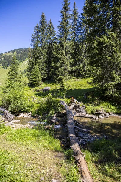 Bucolic Zielone Lato Alpejski Krajobraz Alpy Szwajcarskie Masyw Górski Canton — Zdjęcie stockowe