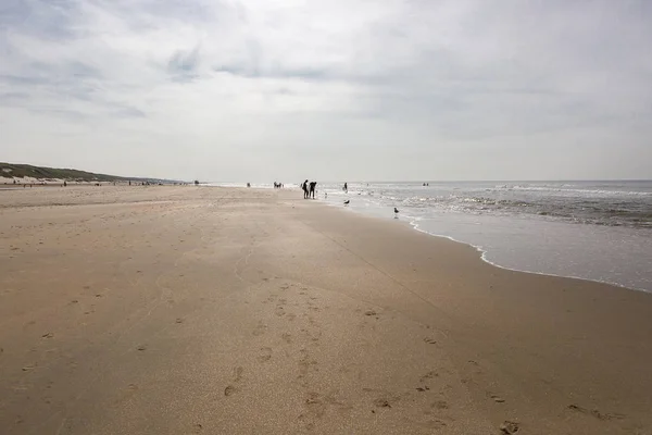 Ludzie Błąkający Się Przy Brzegu Piaszczystej Plaży Zachodzie Słońca — Zdjęcie stockowe