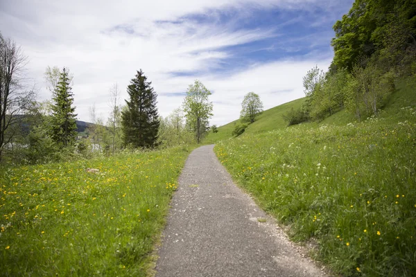 Landskap Jura Berg Med Blommande Grön Äng Schweitz — Stockfoto