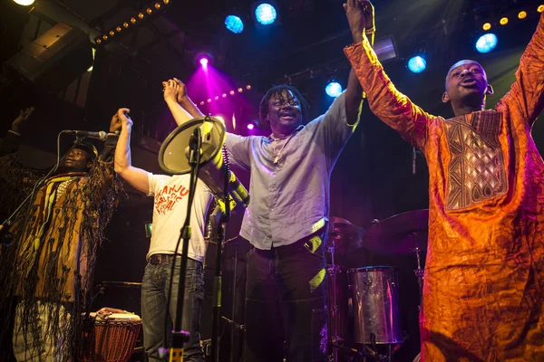 Amsterdam Países Bajos Febrero 2016 Concierto Banda Africana Mali Bko — Foto de Stock