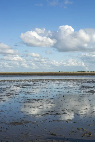 Deniz manzarası bulutların alçak gelgit sularındaki yansıması, Waddenzee, Friesland, Hollanda