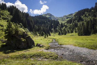Bukolik yeşil yaz alp manzara, İsviçre Alpleri dağ masifi, kton du Valais, İsviçre